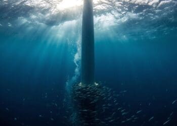 wind turbine under sea