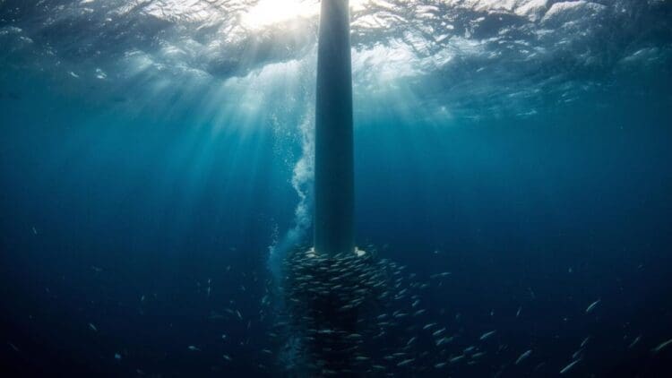 wind turbine under sea