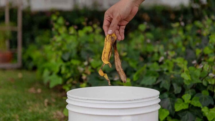 separate food scraps from trash