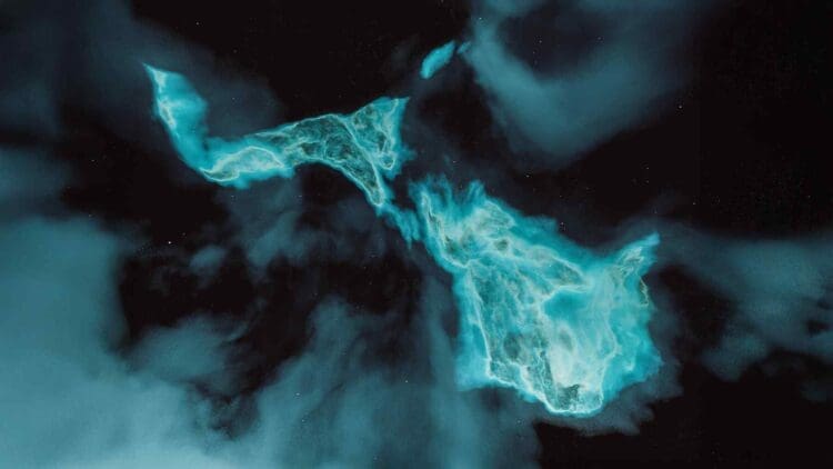 offshore blue oil discovery