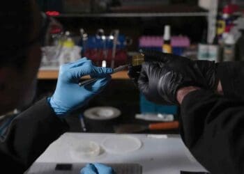 scientists investigating nuclear waste in-lab