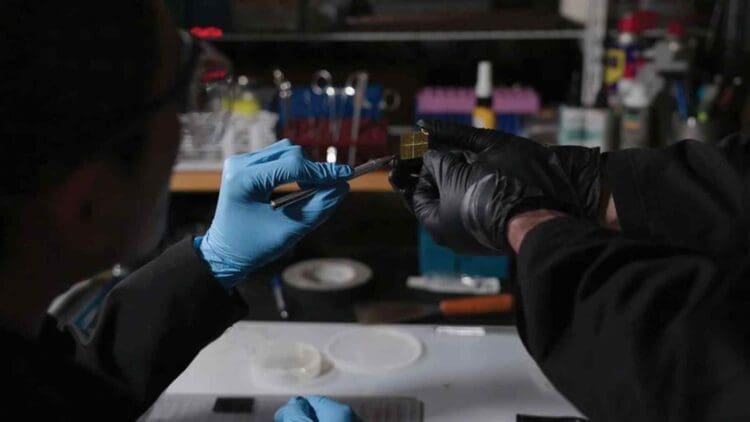 Young American dreamed beyond solar and wind — Now wants to turn nuclear waste into power and threatens energy industry 1 scientists investigating nuclear waste in-lab