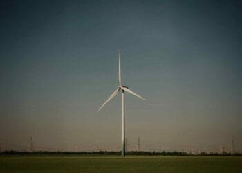 Avangrid expands U.S. wind development portfolio