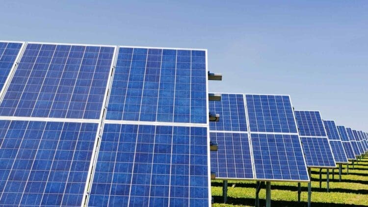 Tilden solar facility officially launched