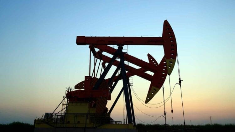 BLM multi state auction