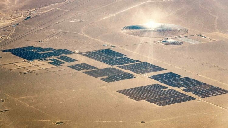 solar panel farm with solar glare