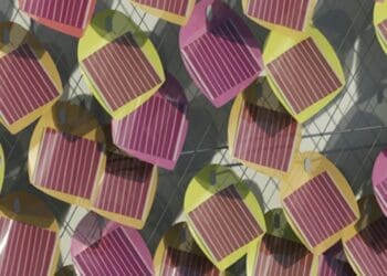 a mesh net with solar panel leaves