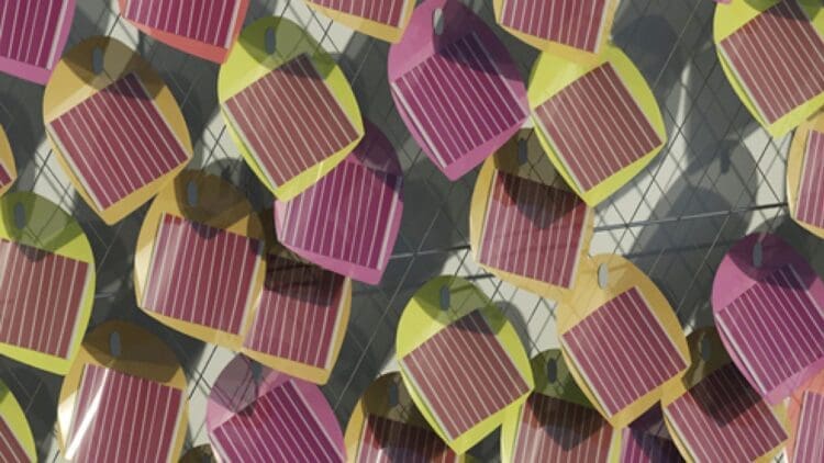 a mesh net with solar panel leaves