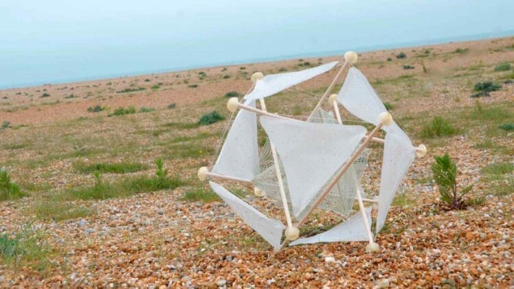 It looks like a crumpled ball of paper in the wind until it starts spinning and helping crops grow 1 landbased biomimetic system rolling in wind