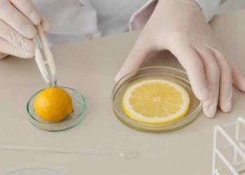 in-lab testing of lemons