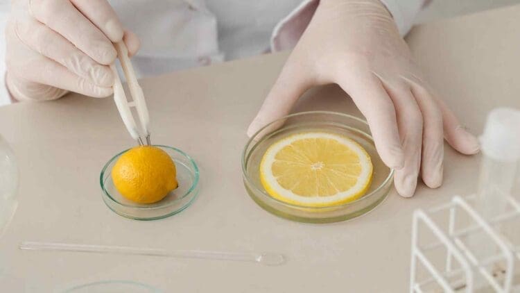 in-lab testing of lemons