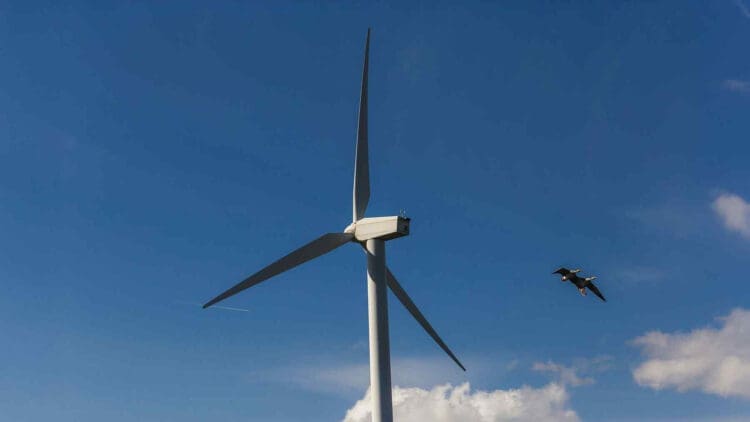 TotalEnergies and Masdar joint venture