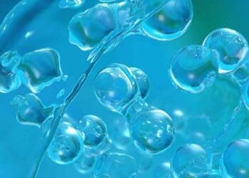 Feasibility initiative launched