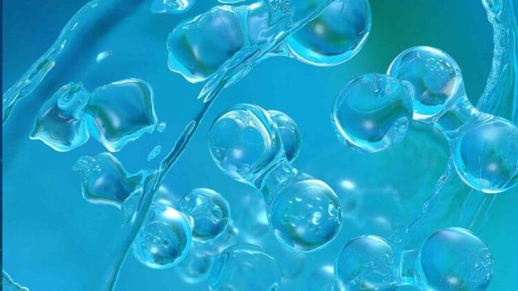 Feasibility initiative launched