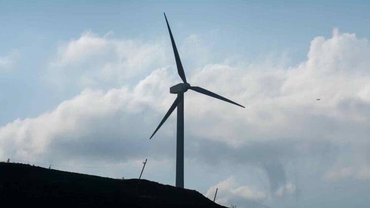 Pattern Energy wind developments tied to new transmission capacity