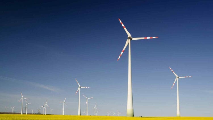 TGS agreement for offshore wind site