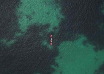 Polluted Veracruz shoreline