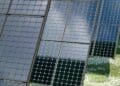 Solx and Caelux solar facility