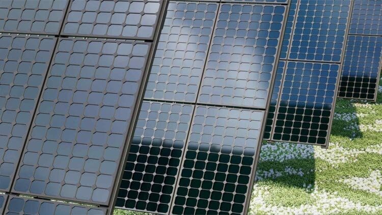Solx and Caelux solar facility