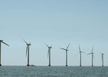 U.S. Federal Authorities Conclude Cancellation Process for Offshore Wind