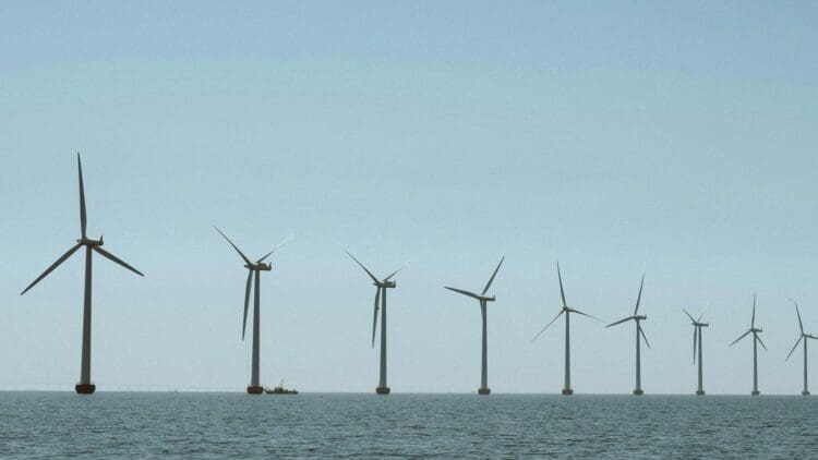 U.S. Federal authorities conclude cancellation process for offshore wind lease areas in New York and Carolina Long Bay 1 U.S. Federal Authorities Conclude Cancellation Process for Offshore Wind