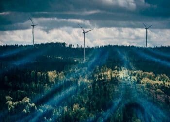 lush green field surrounding wind turbines