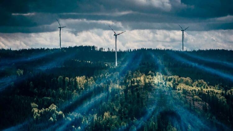 lush green field surrounding wind turbines