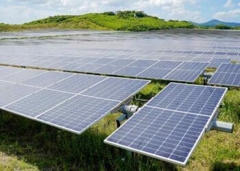 solar plant on a green landscape