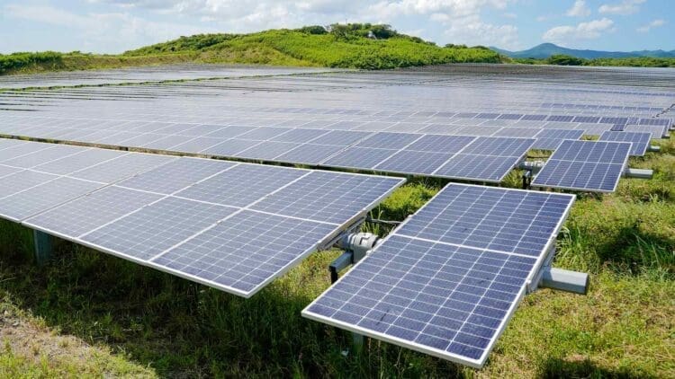 solar plant on a green landscape