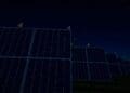 Birds sitting on solar panels