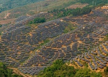 solar plant surrounded by vegetation