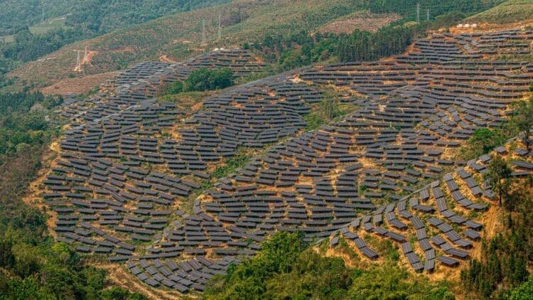 solar plant surrounded by vegetation