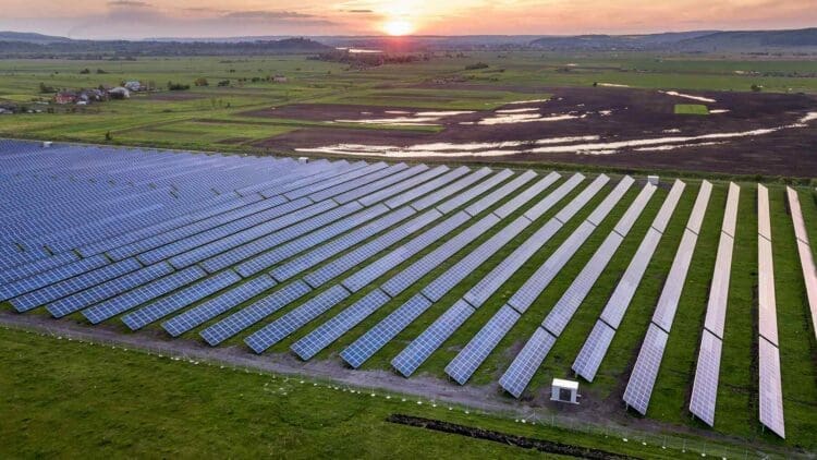 green vegetation surrounding a million solar panels