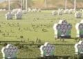 honeycomb-shaped ground level wind turbines