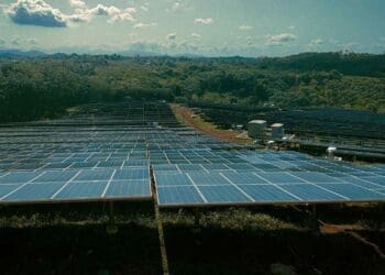 Ever.green solar project