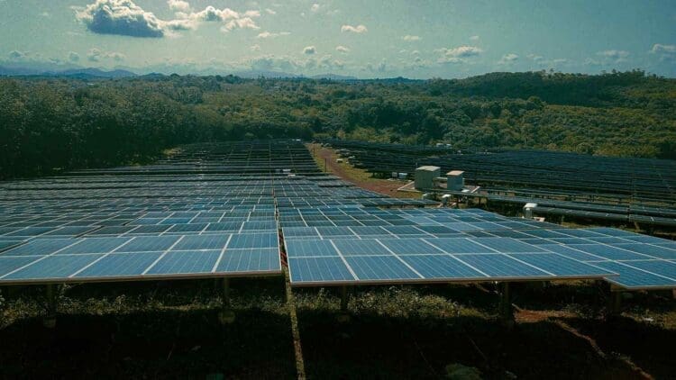 Ever.green solar project