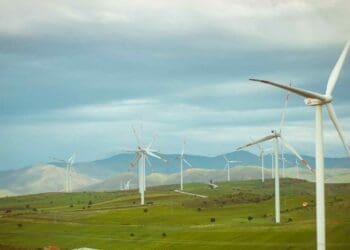 Arcadia and ENGIE Impact wind initiative