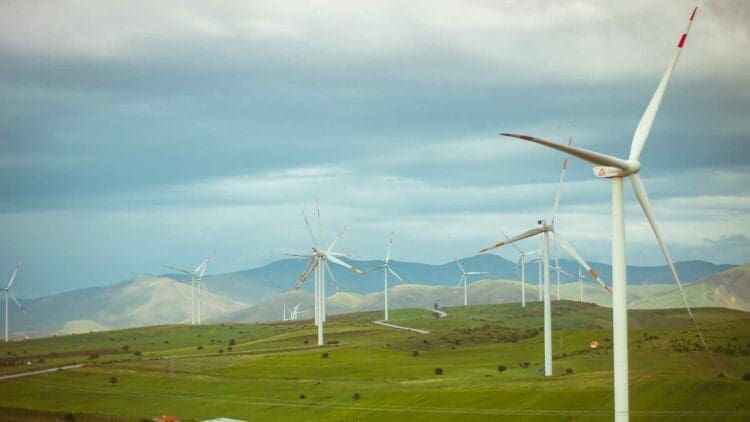 Arcadia and ENGIE Impact wind initiative
