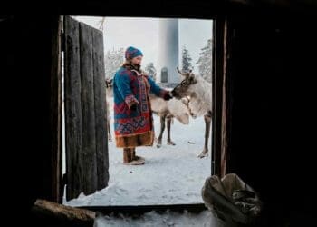 Sami petting reindeer with wind turbine background