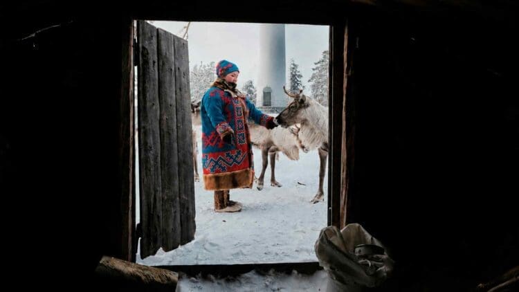 They wanted to build 278 wind turbines until they realized the land already belonged to migrating reindeer and the Sami who follow them 1 Sami petting reindeer with wind turbine background