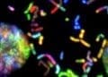 biological cloud computing system's living cells
