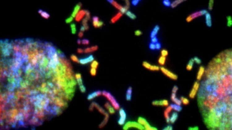 biological cloud computing system's living cells