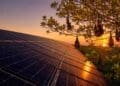 bats near solar panels