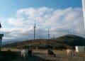 goats herding near wind farm