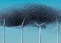 They expected birds to avoid this Belgian wind farm until more than 60,000 showed up and turned it into a mysterious meeting point no one can fully explain 2 swarm of birds flying near wind turbines