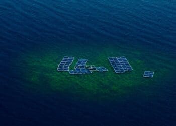 floating solar plant surrounded by green substance