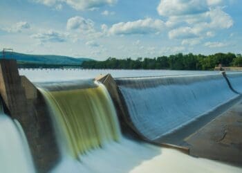 Fish, hydropower dam