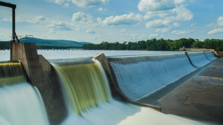 Fish, hydropower dam