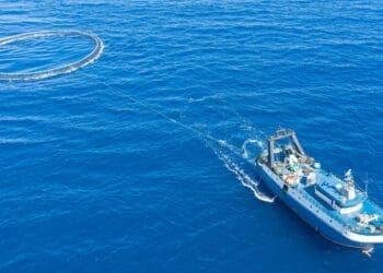 Survey vessel