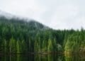 Energy in Canada, First Nations land